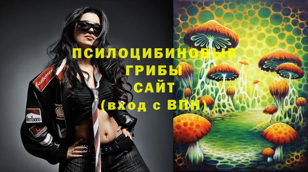 МДПВ Костерёво