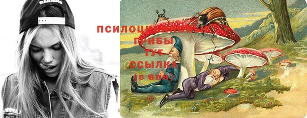 МДПВ Костерёво