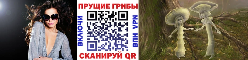 Псилоцибиновые грибы мицелий  дарнет шоп  Кимры 