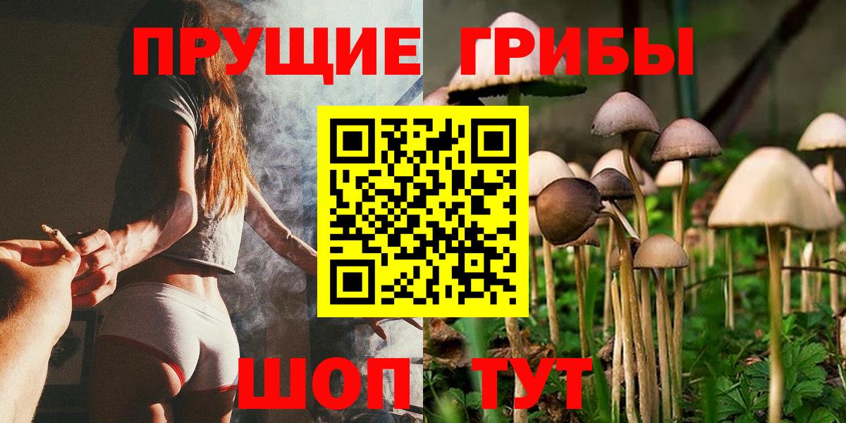 Псилоцибиновые грибы MAGIC MUSHROOMS Кимры