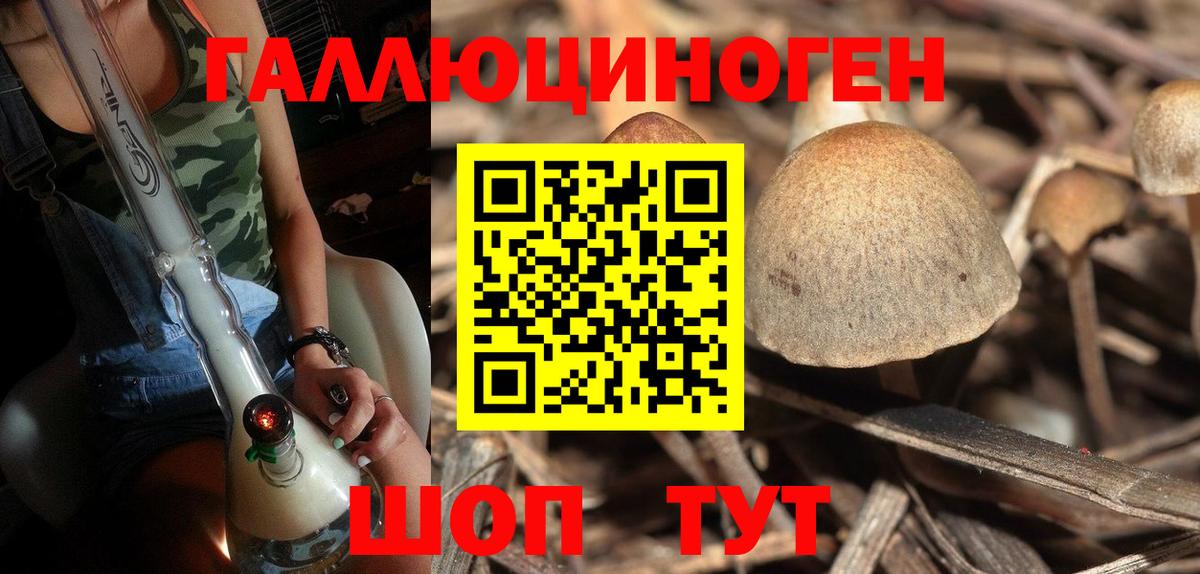 Кимры  Псилоцибиновые грибы Psilocybe  Галлюциногенные грибы Psilocybe  Вход с VPN 